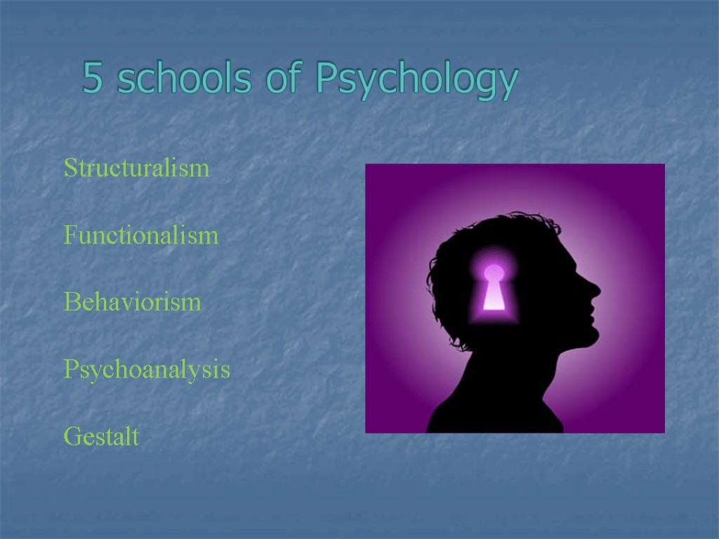 5 schools of Psychology Structuralism Functionalism Behaviorism Psychoanalysis Gestalt